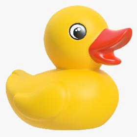 Rubber Duck 02